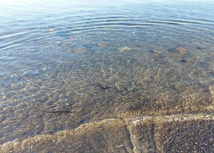 Appartement Wormshoeft 16 Hasselberg (Schleswig-Holstein)