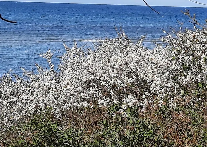 Wormshoeft 16 Appartement