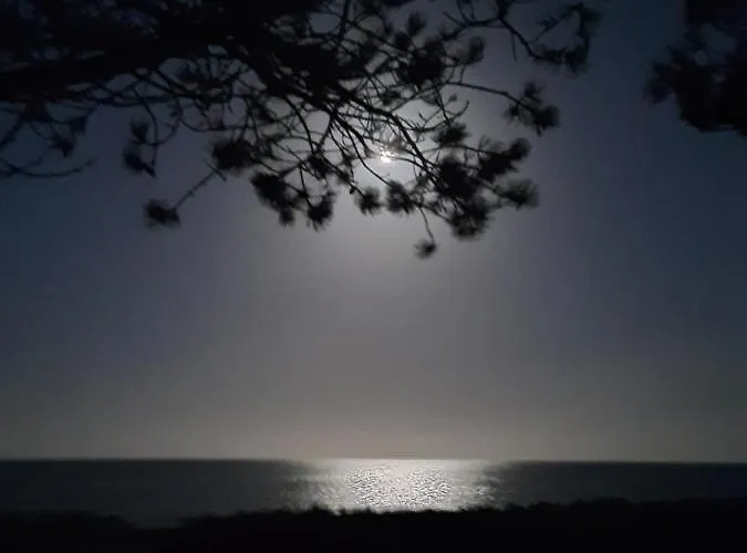 Wormshoeft 16 * Hasselberg (Schleswig-Holstein)