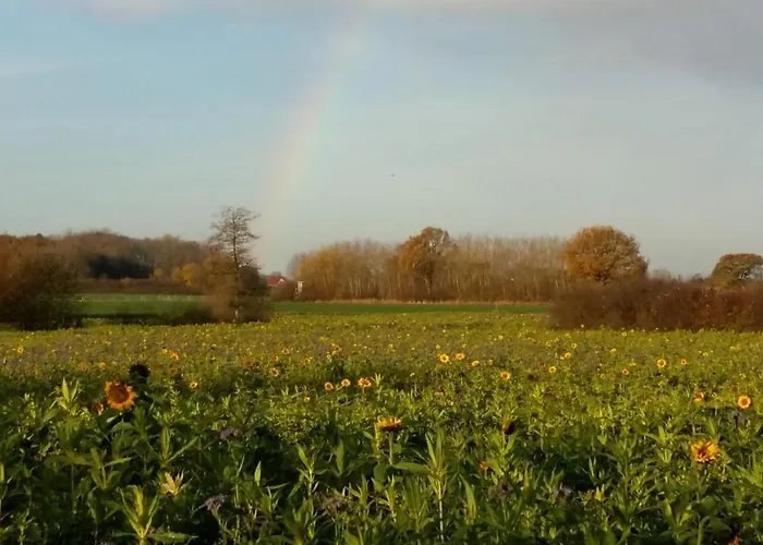 Wormshoeft 16 Hasselberg (Schleswig-Holstein)